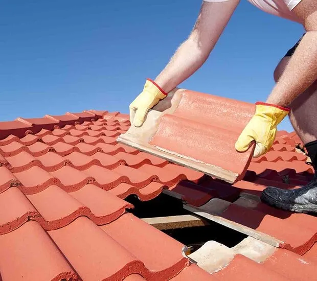 Choosing Roof Tiles for Your Home?